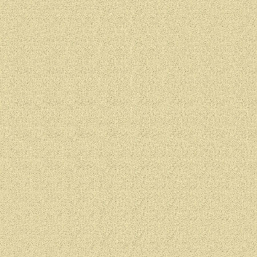 Spare Canvas Set For Premium Chair Range