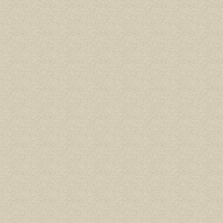 Spare Canvas Set For Deluxe/Pro Chair Range