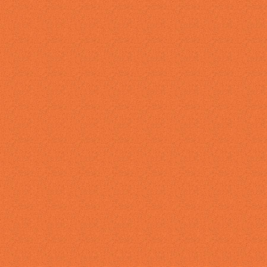 Spare Canvas Set For Premium Chair Range