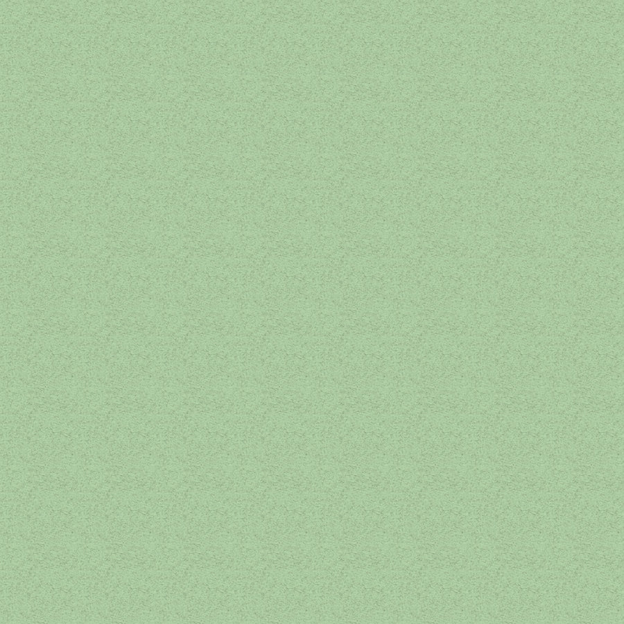 Spare Canvas Set For Premium Chair Range