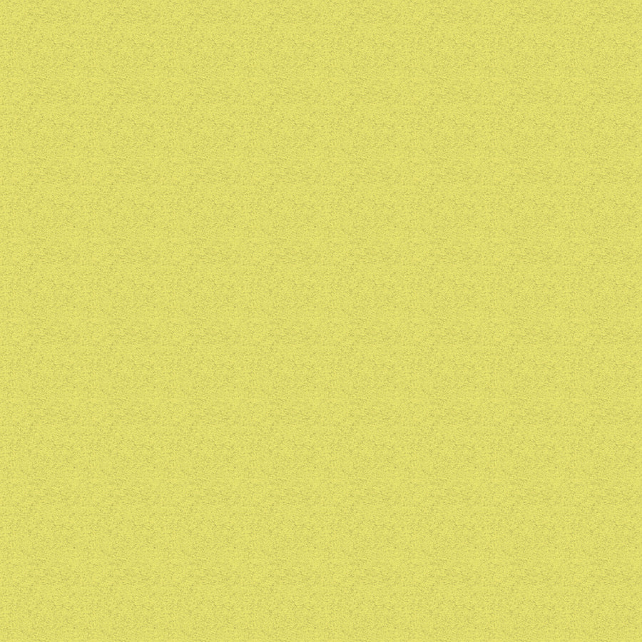 Spare Canvas Set For Premium Chair Range